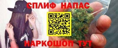 МДПВ Новокубанск